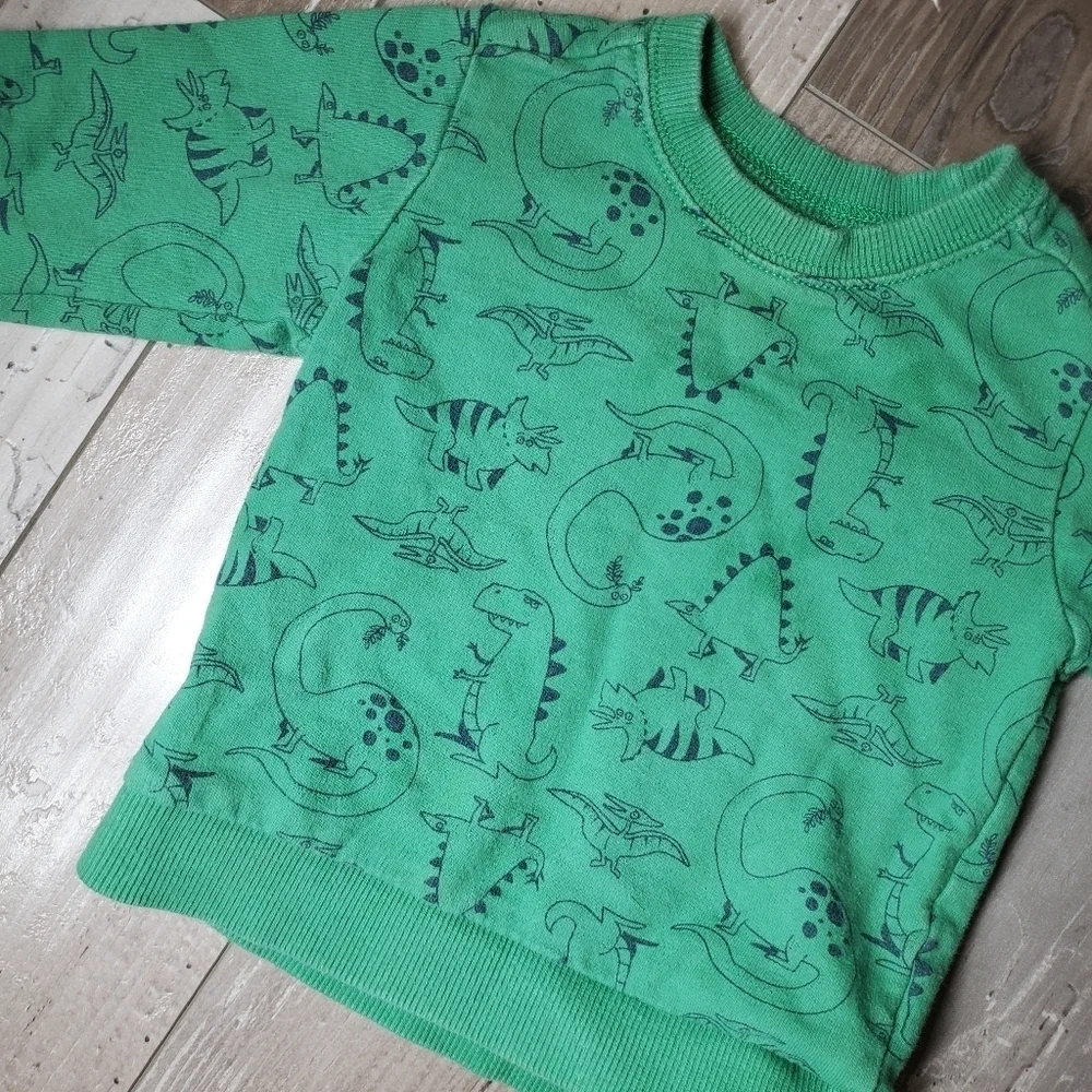 Carter's Green T-Rex Dinosaur Fleece Pullover Sweatshirt Boys Size 18m EUC